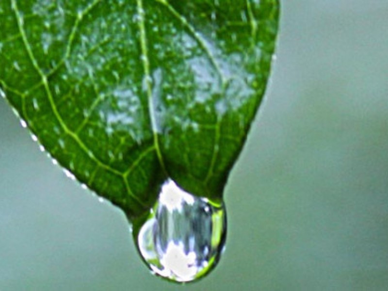 natura4